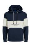 Jack&Jones Sweatshirt 12246802 Lacivert