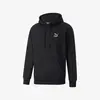 Puma Hoodie Classics Small Logo Fl 535596_01 Siyah