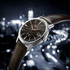 Seiko Saat Erkek SRPJ17J1