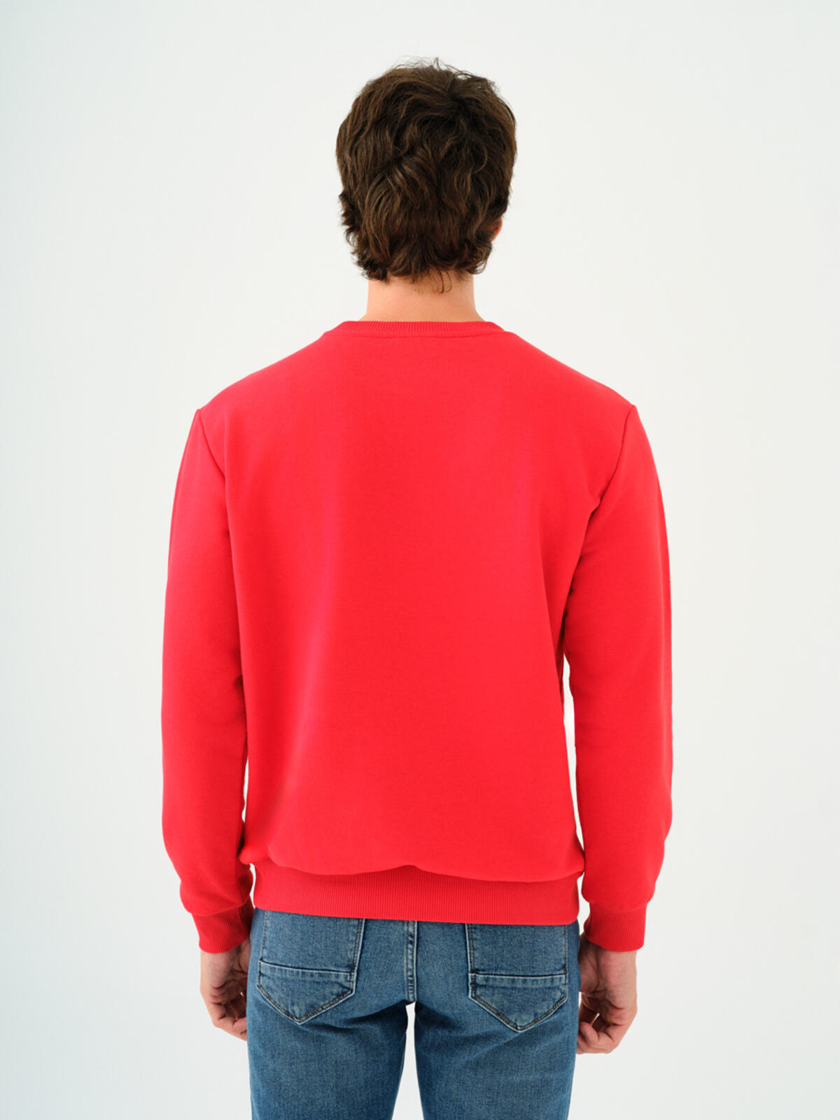 Loft Sweatshirt LF2037100 Narçiçeği