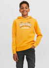 Jack&Jones Junior Sweatshirt Erkek Çocuk 12212287 Hardal (Dy)