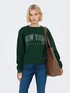 Only Sweatshirt 15254183 Yeşil