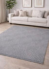 Livdora Halı 120*190 Grafh Gri