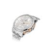 Hislon Saat Erkek MS103S-02SR