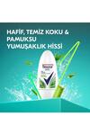 Rexona Kadın Roll-On Bambu&Aloe Vera 50Ml