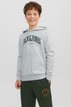 Jack&Jones Sweatshirt Erkek Çocuk 12237401 Gri