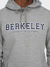Only&Sons Sweatshirt 22026331 Gri