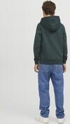 Jack&Jones Junior Sweatshirt 12242465 Yeşil