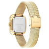 Calvin Klein Saat Kadın CK25100099