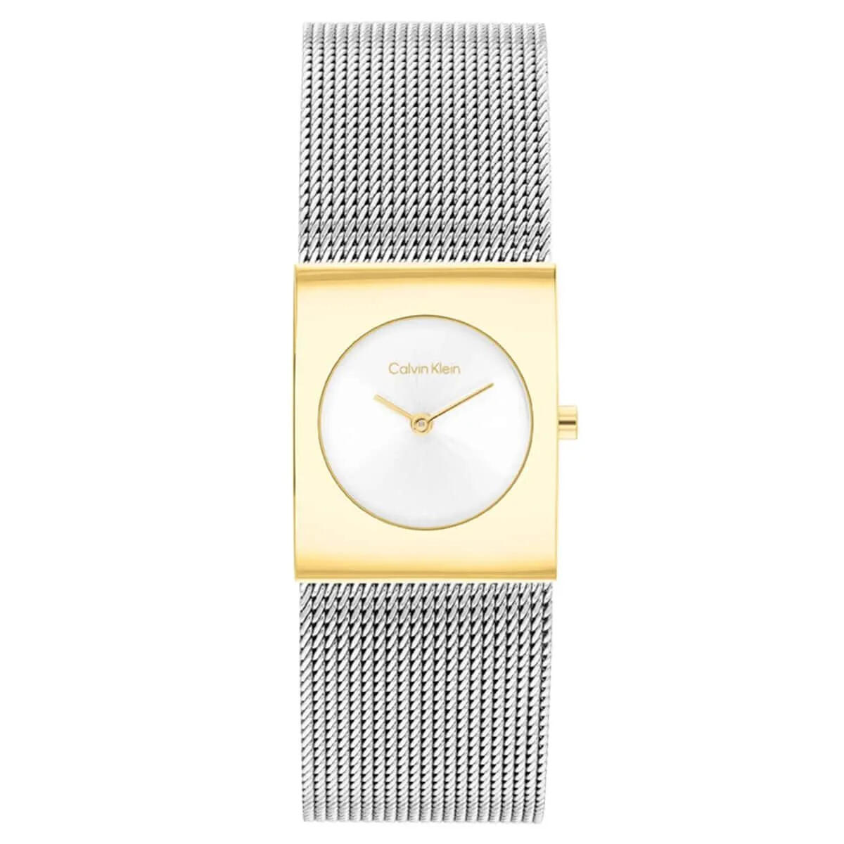 Calvin Klein Saat Kadın CK25100139