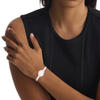 Calvin Klein Saat Kadın CK25100055