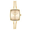 Calvin Klein Saat Kadın CK25100132