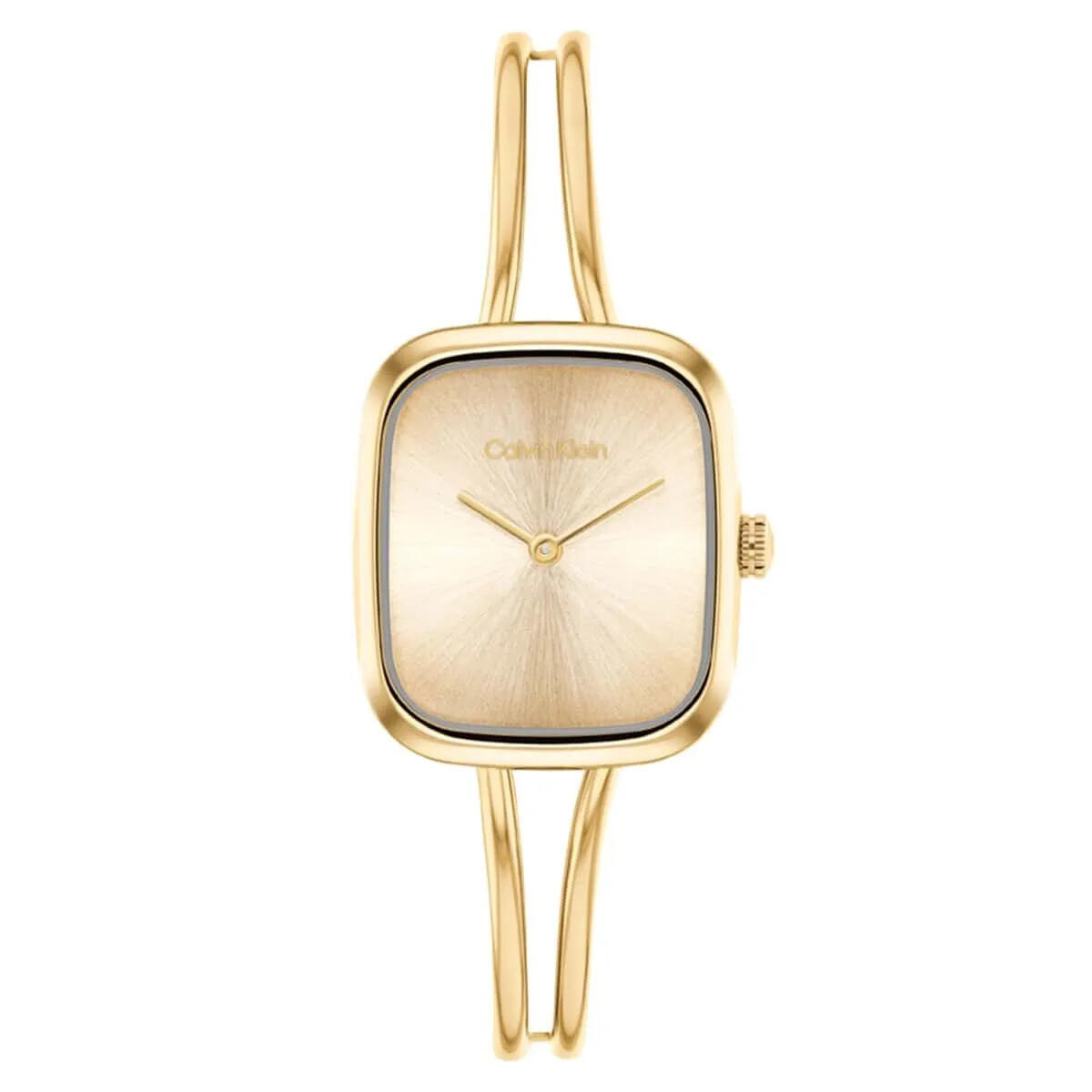 Calvin Klein Saat Kadın CK25100132
