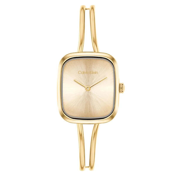 Calvin Klein Saat Kadın CK25100132