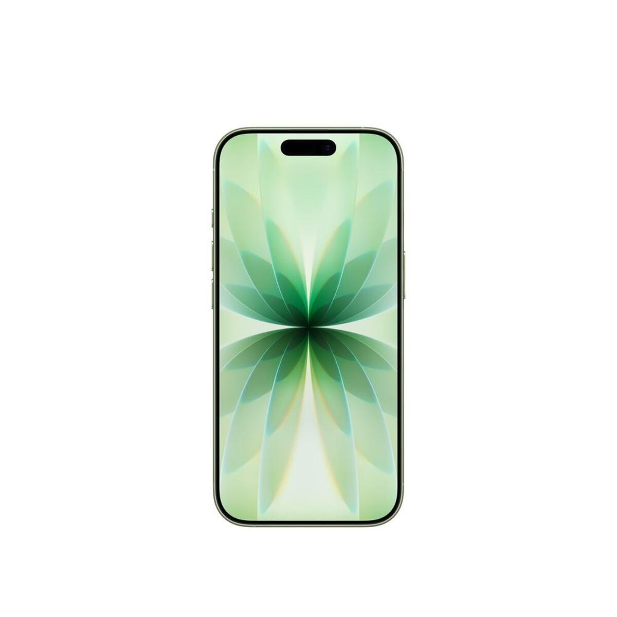 Apple Cep Telefonu Iphone 17 256GB Sage