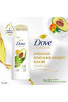 Dove Şampuan Saç Dökülmesine Karşı Avokado 400Ml