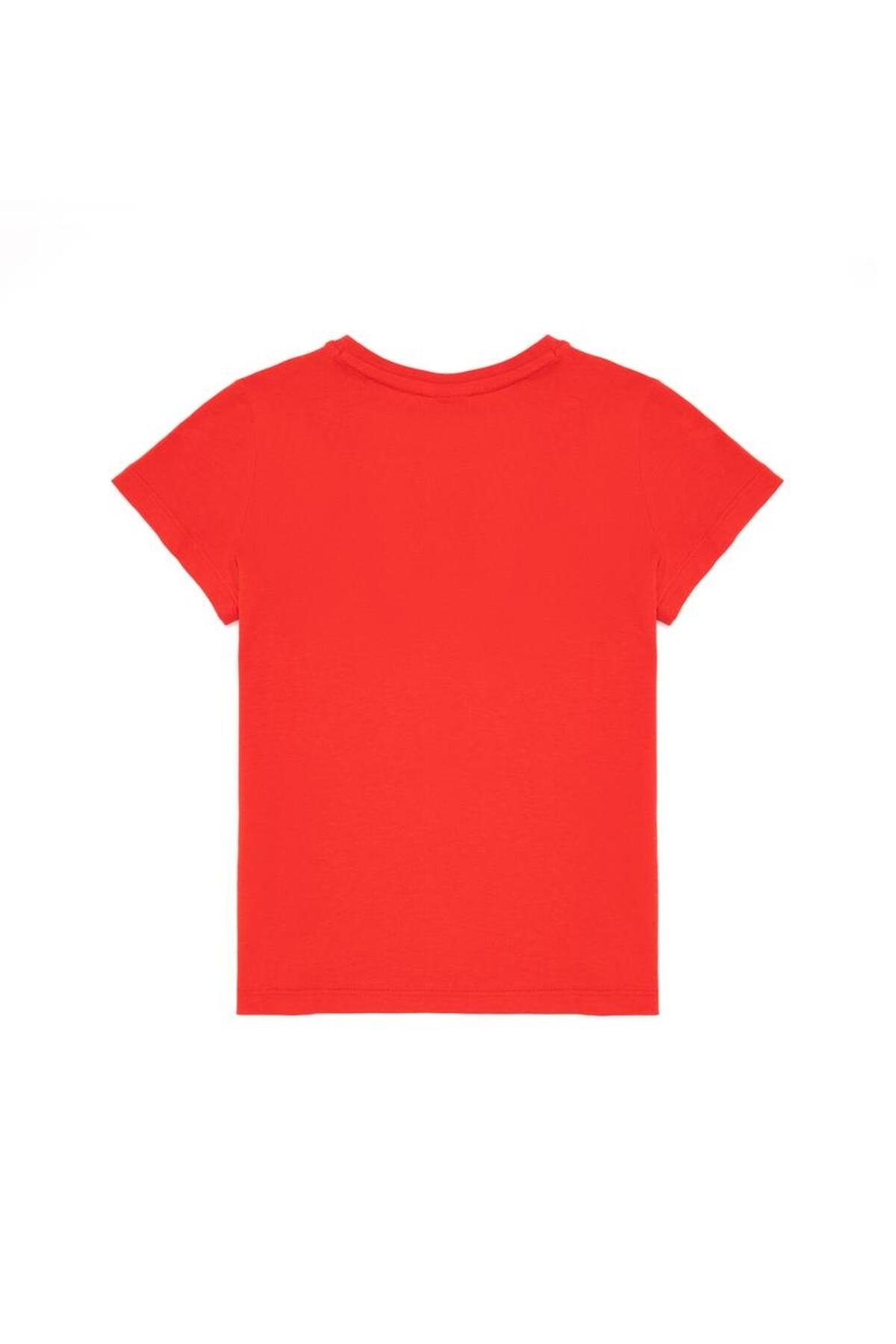 U.S Polo Tişört Erkek Çocuk 1571410 G083SZ011 Kırmızı