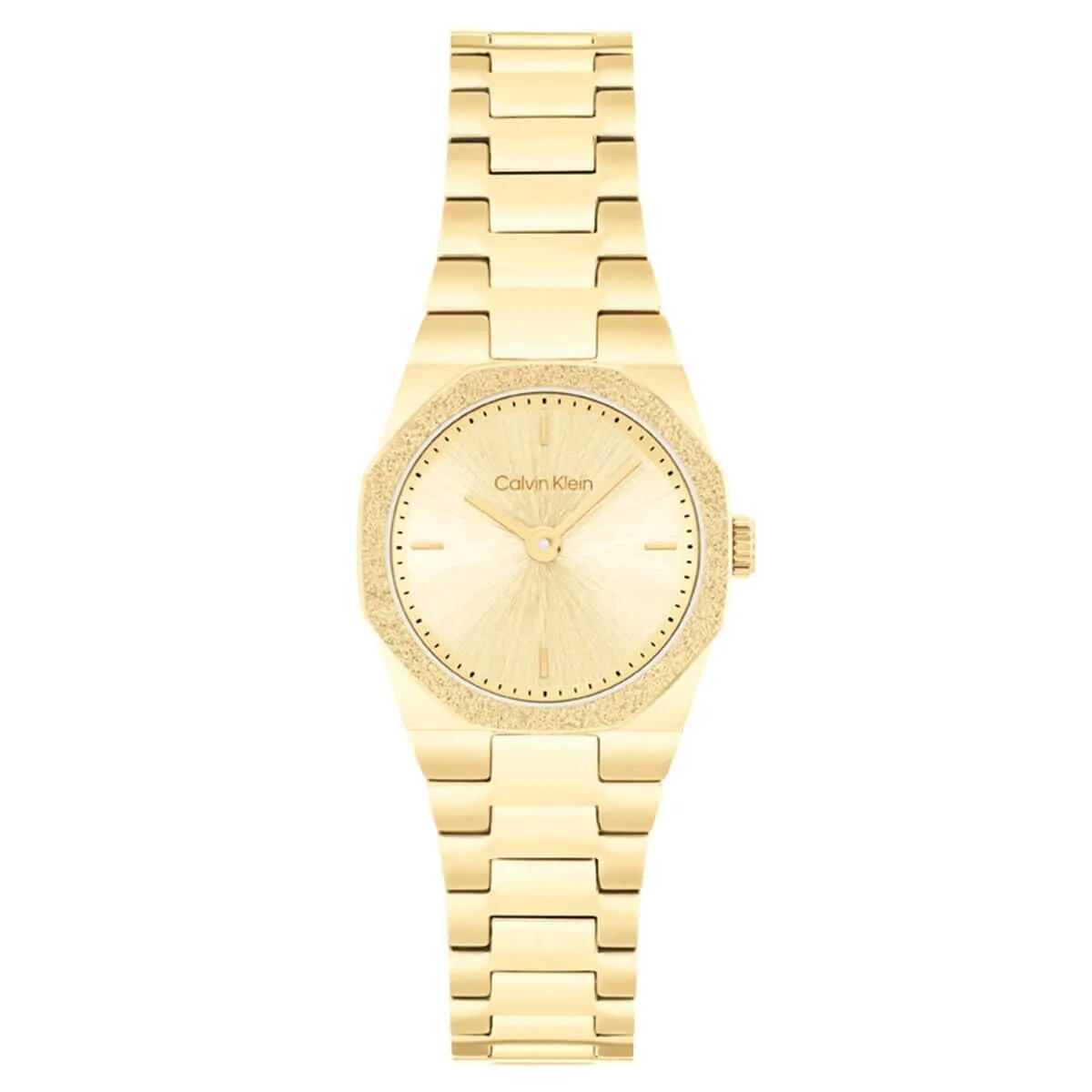 Calvin Klein Saat Kadın CK25100142