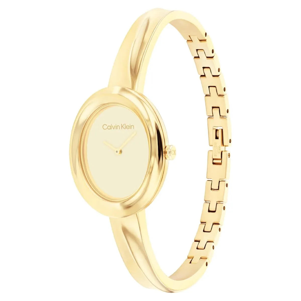 Calvin Klein Saat Kadın CK25100056
