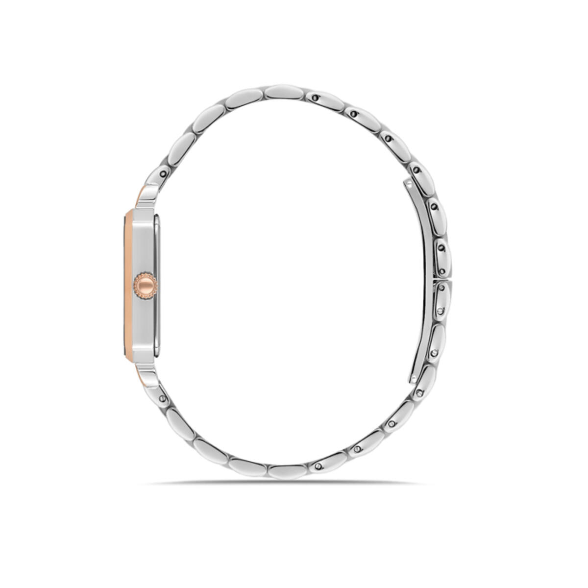 Momentus Saat Kadın SS223T-15SR