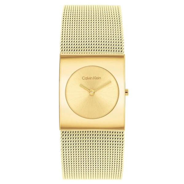 Calvin Klein Saat Kadın CK25100062