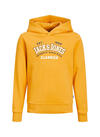 Jack&Jones Junior Sweatshirt Erkek Çocuk 12212287 Hardal