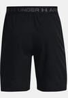 Under Armour Ua Vanish Woven 8İn Shorts 1370382-001 Siyah Lg