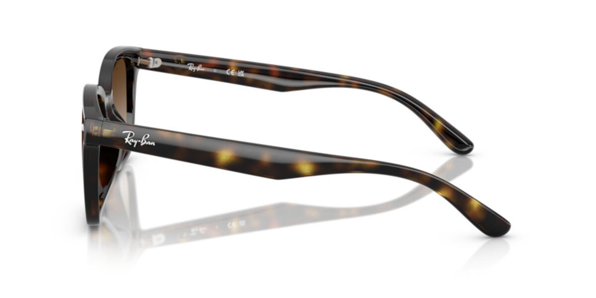 Ray-Ban Gözlük Unisex 0RB4461D 710/13 64