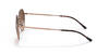 Ray-Ban Gözlük Unisex 0RB3565 9035A5 51