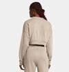 Under Armour Ua Rival Terry Os Crop Crw 1382738-204 Kahverengi