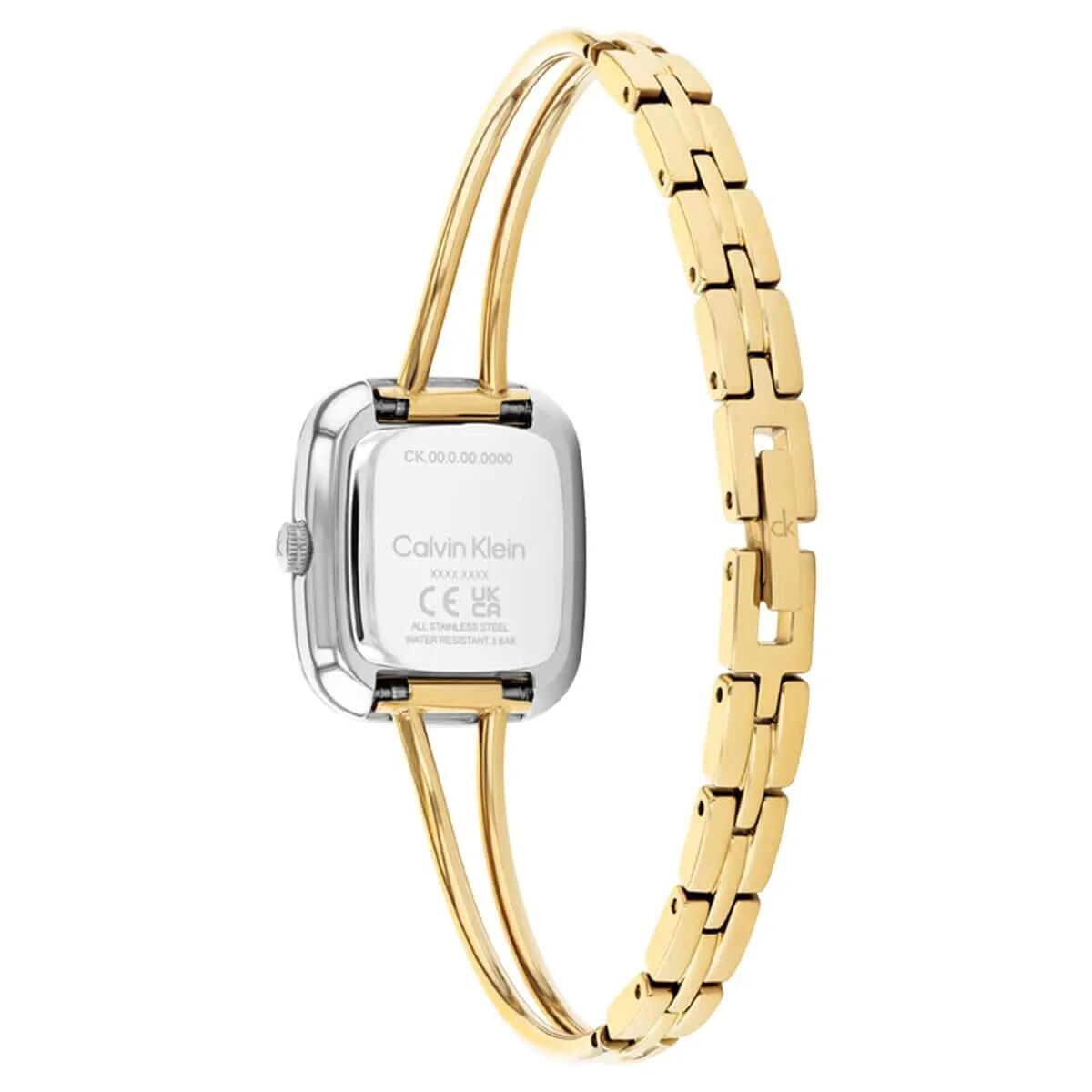 Calvin Klein Saat Kadın CK25100134