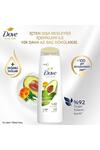 Dove Şampuan Saç Dökülmesine Karşı Avokado 400Ml