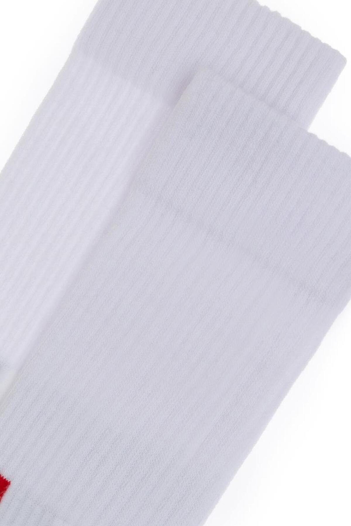 U.S Polo Assn. Çorap Kına A081SZ013 Gri Melanj