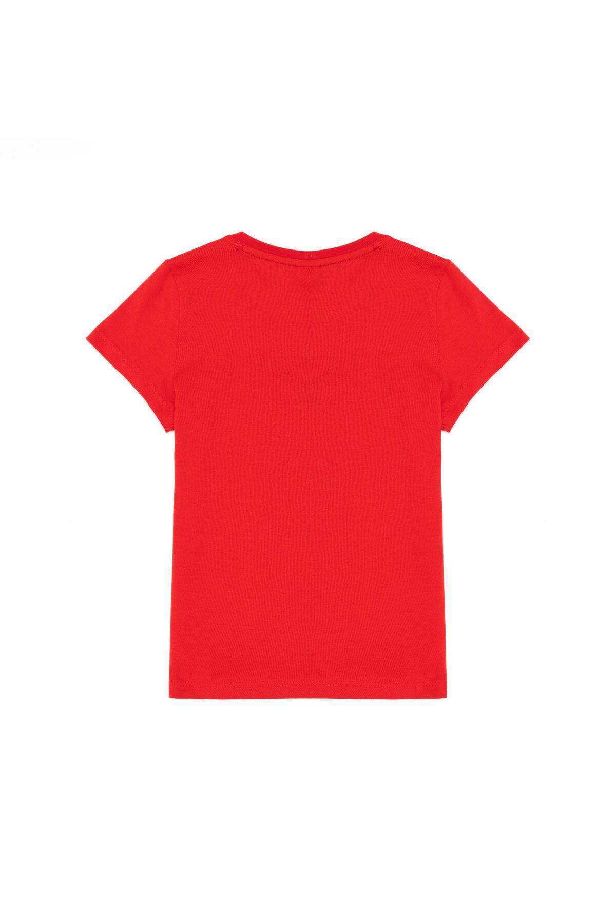 U.S Polo Tişört Erkek Çocuk 1571410 G083SZ011 Kırmızı