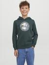 Jack&Jones Junior Sweatshirt 12242465 Yeşil