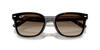 Ray-Ban Gözlük Unisex 0RB4461D 710/13 64