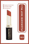 Golden Rose Lipstick Powder Pure Matte No:120