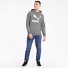 Puma Hoodie Classics Logo Hoodie Tr 530084_03 Gri