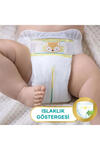 Prima Bez Premcare Junior Ekonomik 5 Beden 42Li