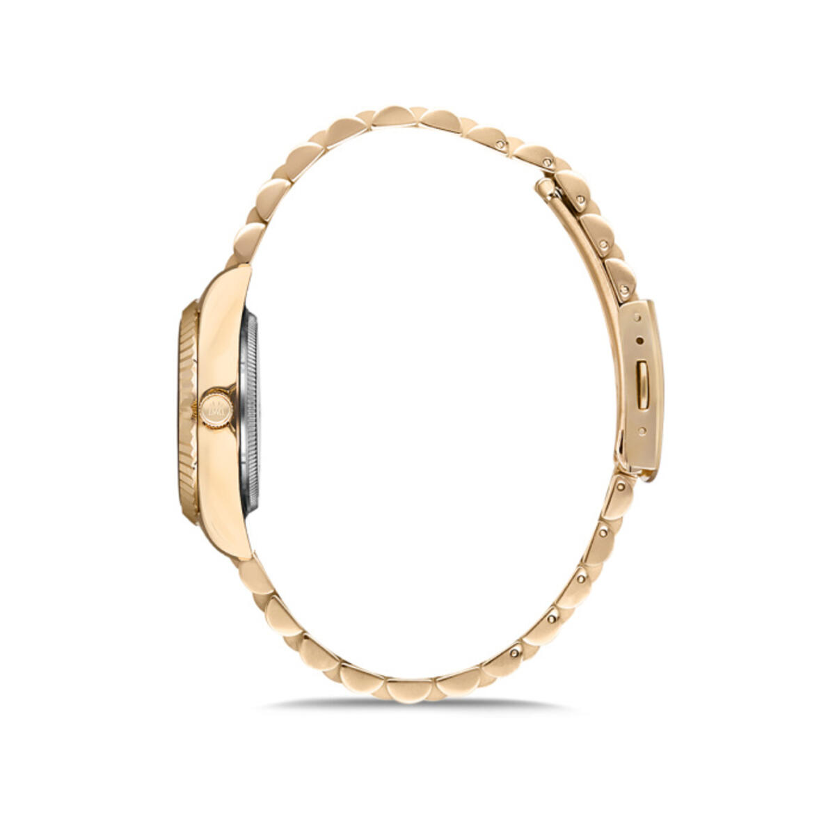 Momentus Saat Kadın SW132G-02SG