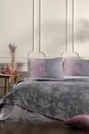 Özdilek Pike Takımı Tk Rnf Dıtsy Mor