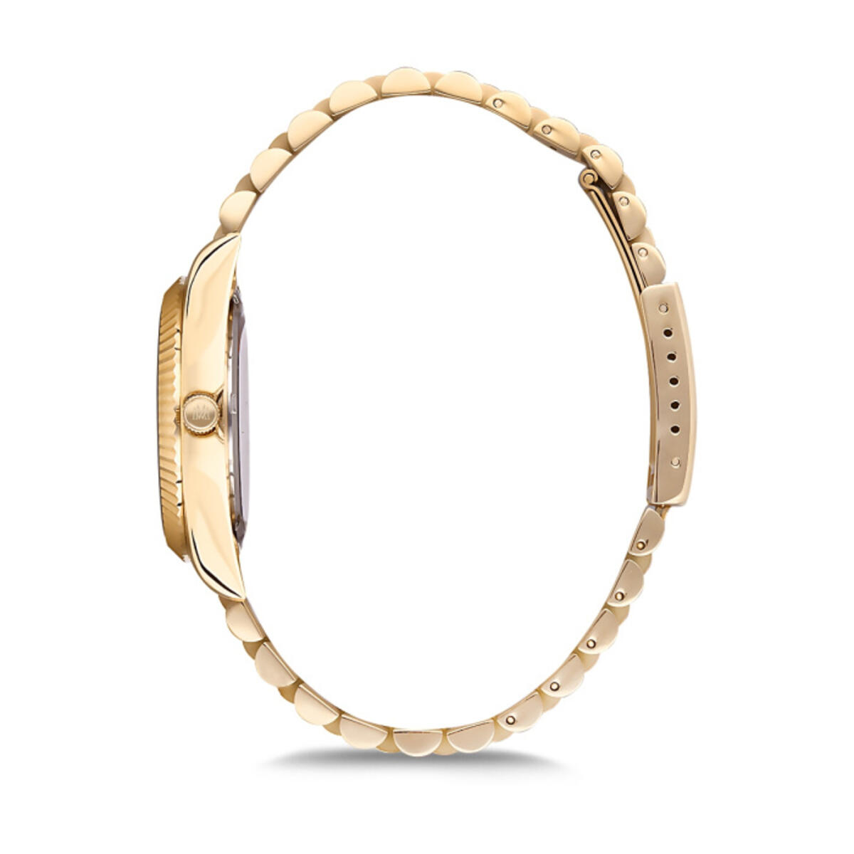 Momentus Saat Kadın CW130G-08SG