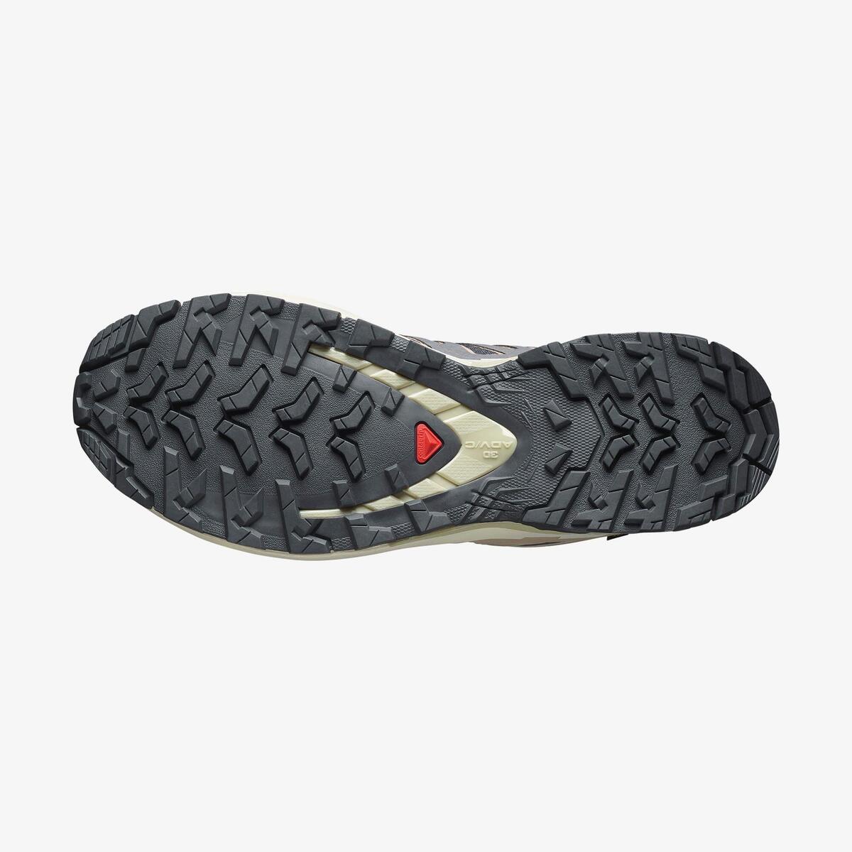 Salomon Xa Pro 3D V9 Gore-Tex L47744700 Mor/Bej/Fil Dişi