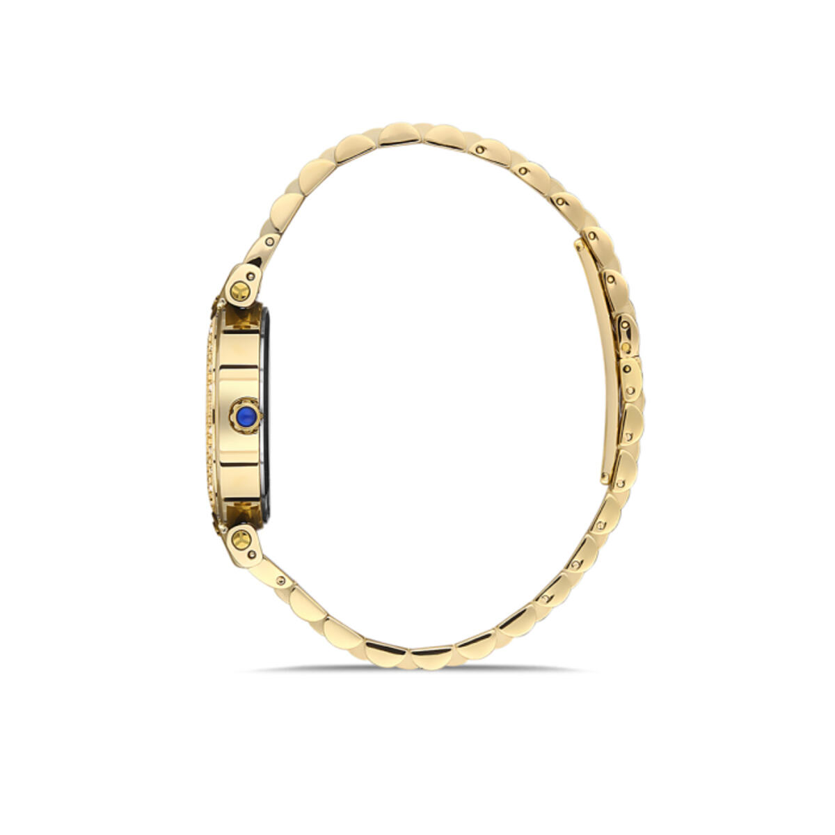 Momentus Saat Kadın SS247G-02SG