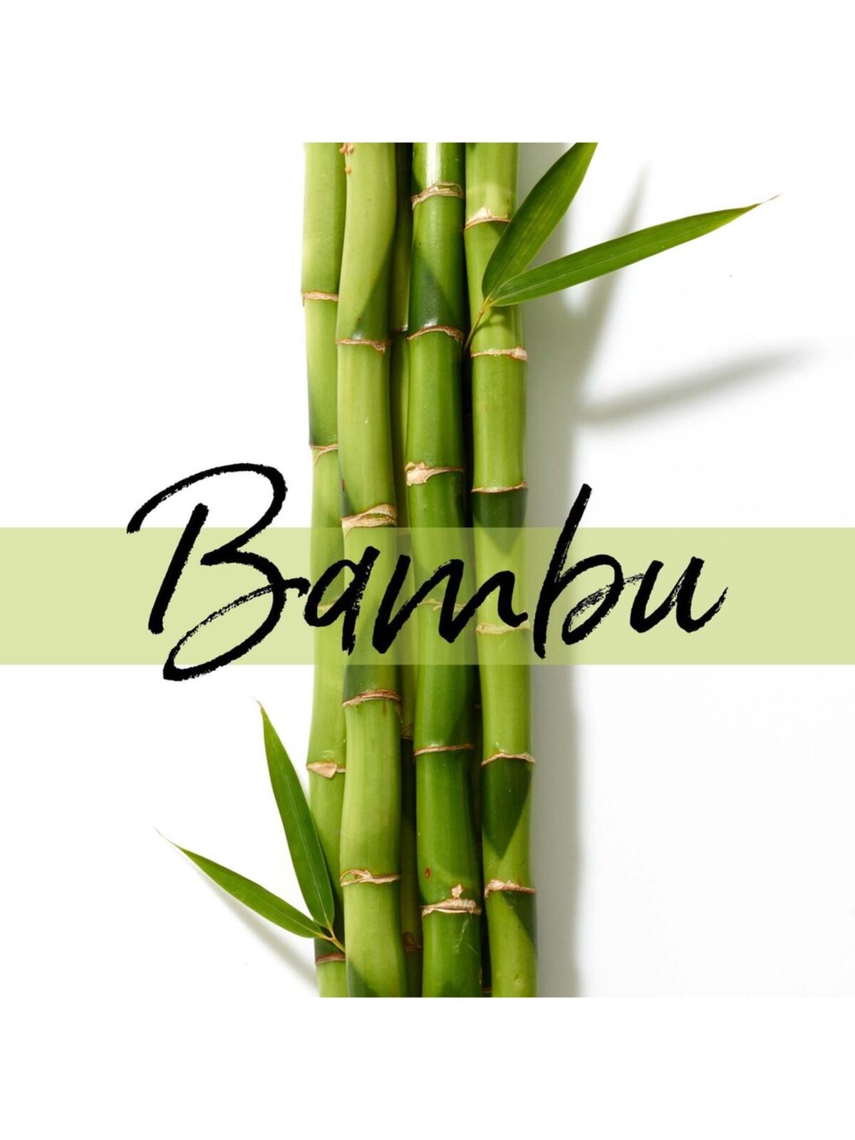 Pantene Şampuan Bambu Miracles 350Ml