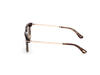 Tom Ford Gözlük Unisex FT1233 55A