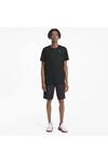 Puma Performance Ss Tee M 520314_01