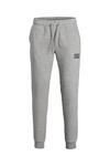 Jack&Jones Eşofman Alt 12178421 Açık Gri XL