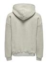 Only&Sons Sweatshirt 22031437 Gri