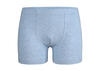 Donella Boxer Erkek Çocuk 7524 10/11